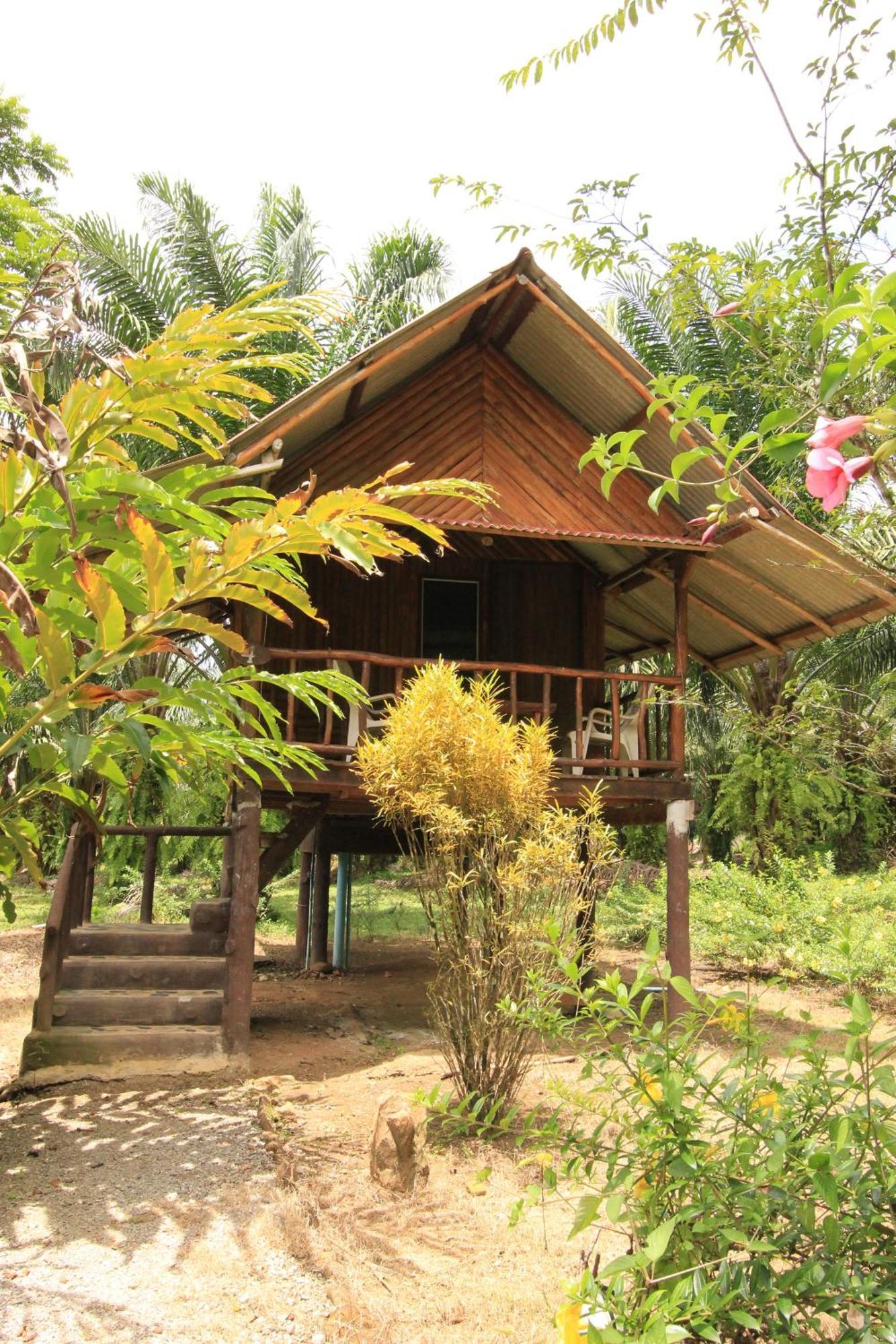 Khao Sok Palmview Resort Khao Sok National Park Номер фото