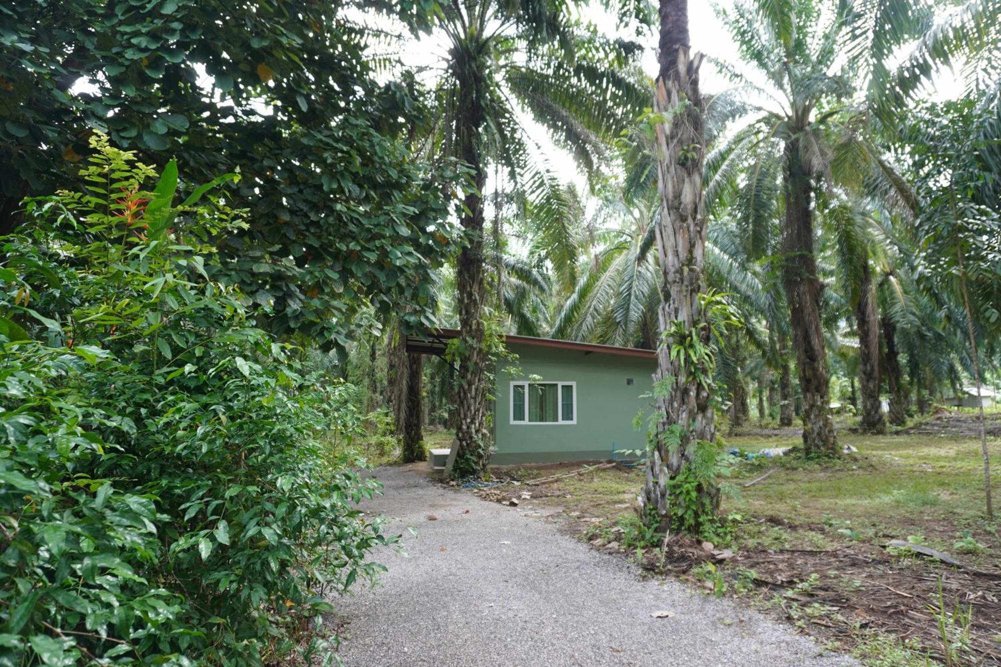 Khao Sok Palmview Resort Khao Sok National Park Экстерьер фото